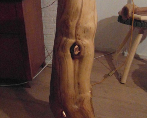 Ik heb een lampje onder de stam gezet wat een heel mooi effect geeft