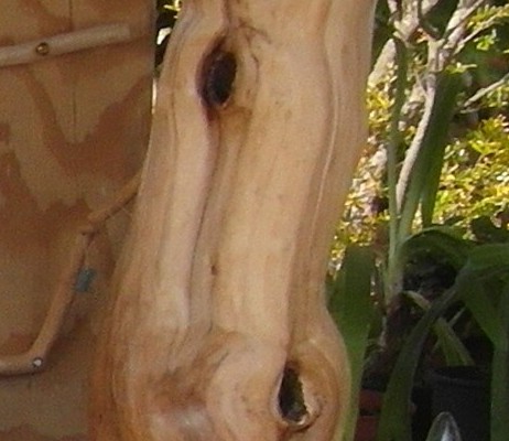 In het hout zitten vier prachtige gaten