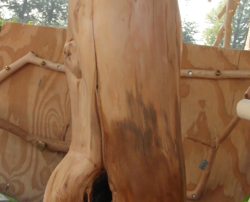 Het onderste gedeelte van de stam heeft een donkere kleur