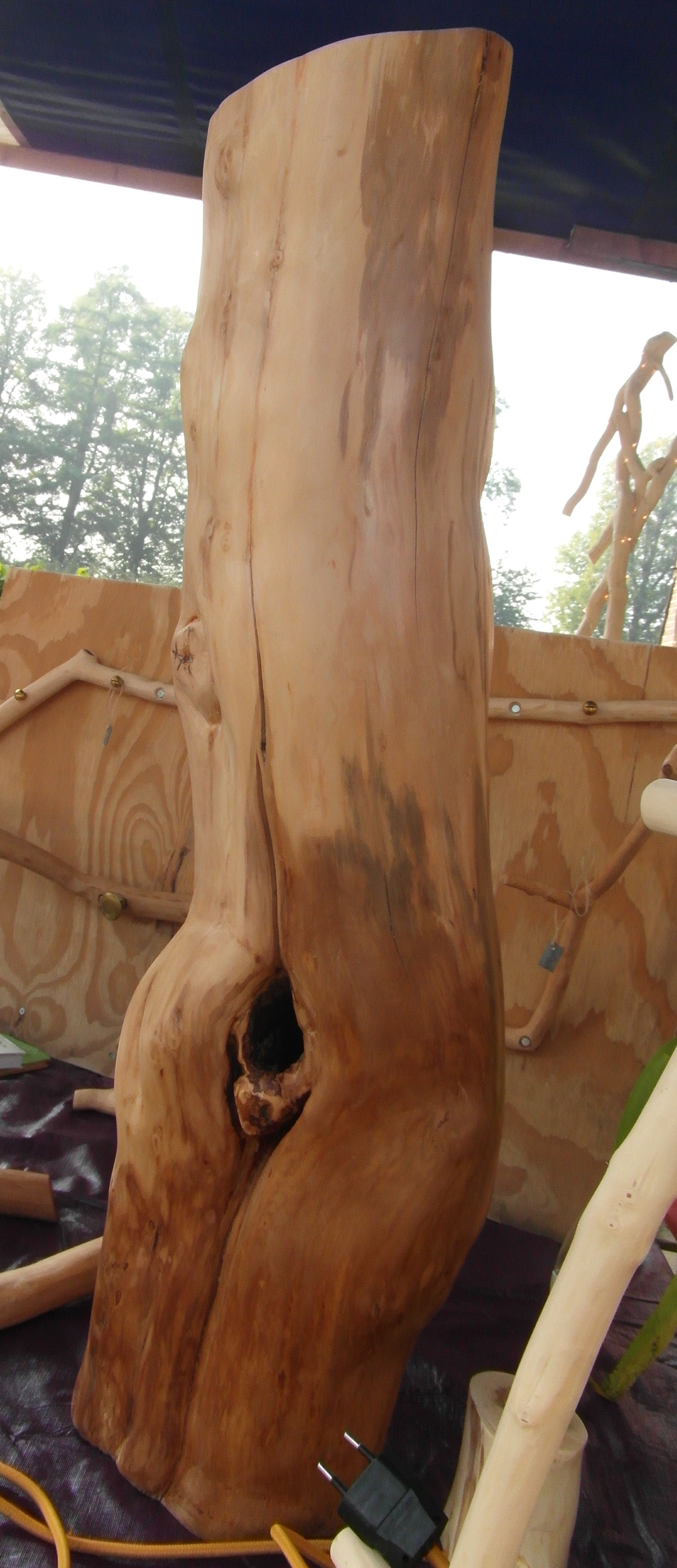 Kleuren Het onderste gedeelte van de stam heeft een donkere kleur