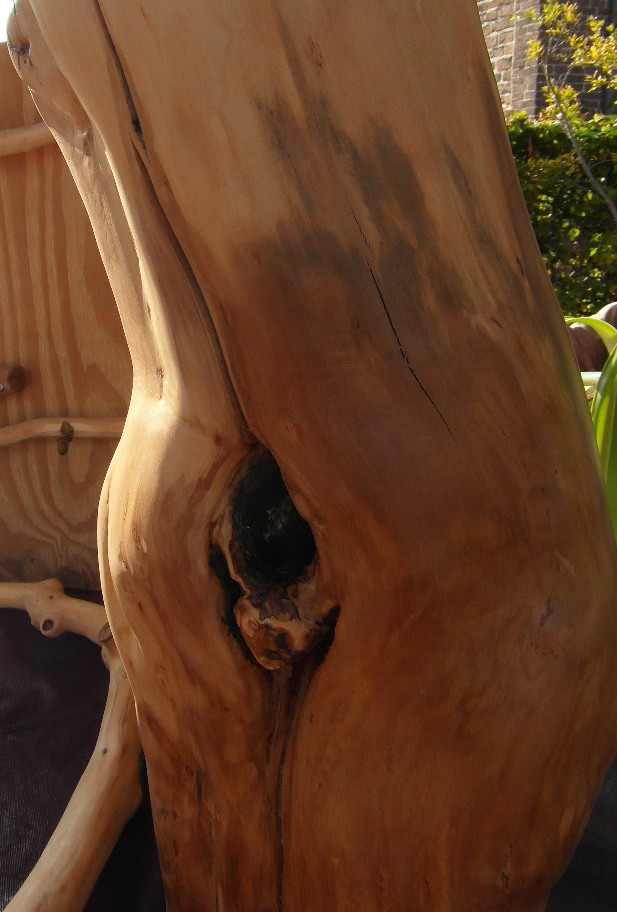 Close-up Omdat het hout nog steeds aan het drogen is, ontstaat er een prachtige scheur in het hout