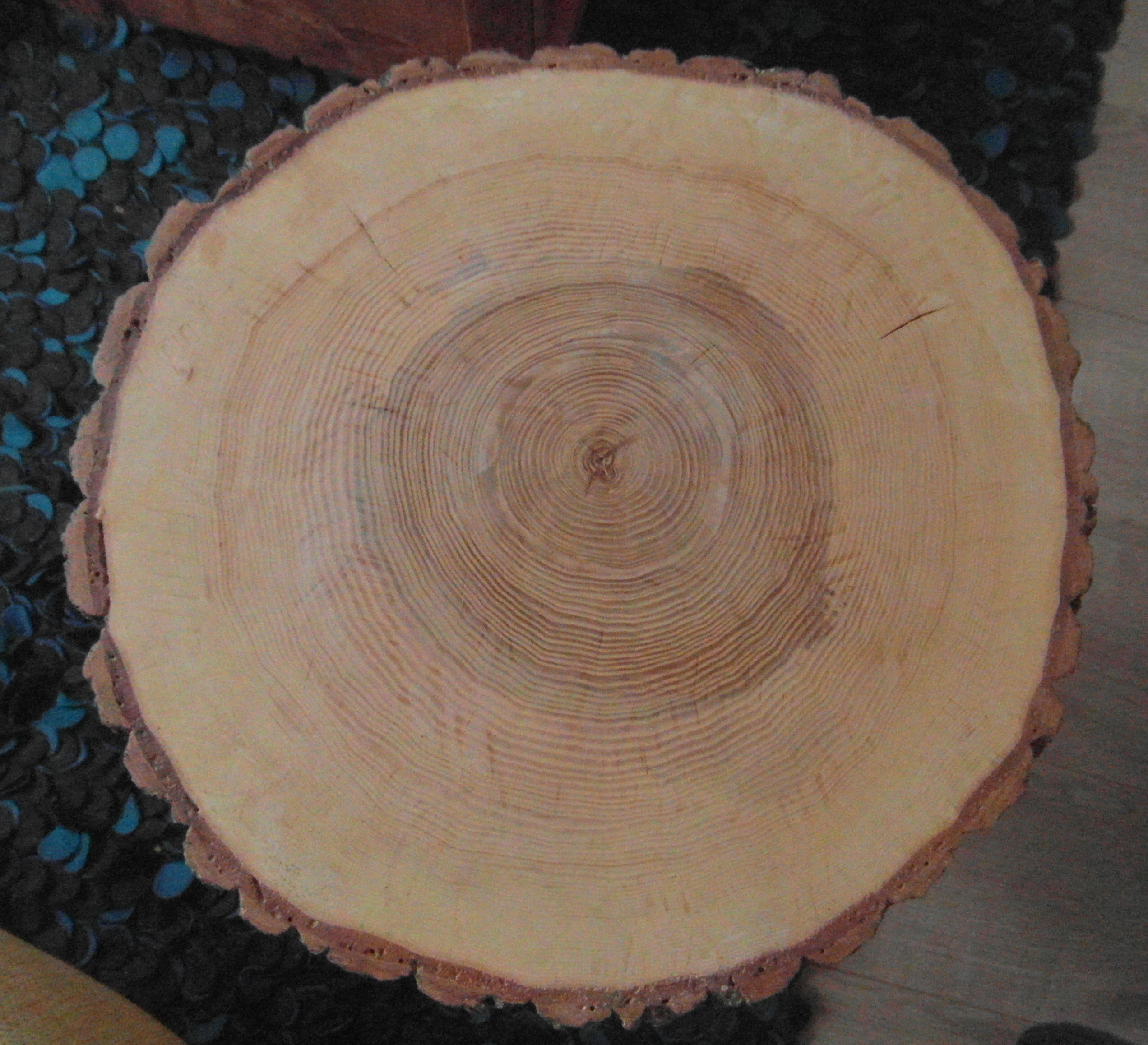 De verschillende kleuren van de jaarringen komen mooi naar voren op deze foto